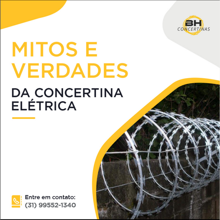 Mitos e Verdades da Concertina eletrica BH Concertina Fabrica de
